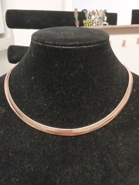 Omega Necklace (18 Inches) and Earrings in ION Plated RG Stainless Steel